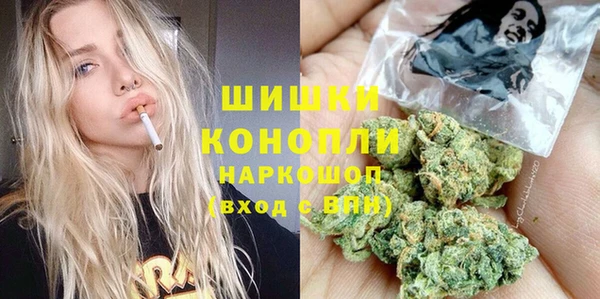 гидра Володарск