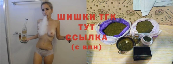гидра Володарск