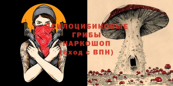гидра Володарск