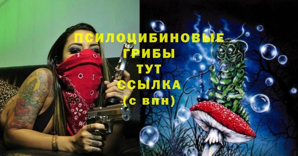 apvp Волосово