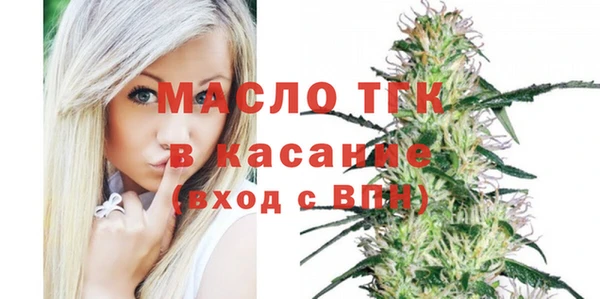 гидра Володарск