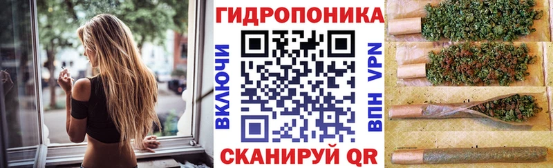 Бошки Шишки план  Купить  Кувшиново 